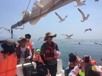 大連游艇之旅 于山海之間，邂逅別樣陸海之美